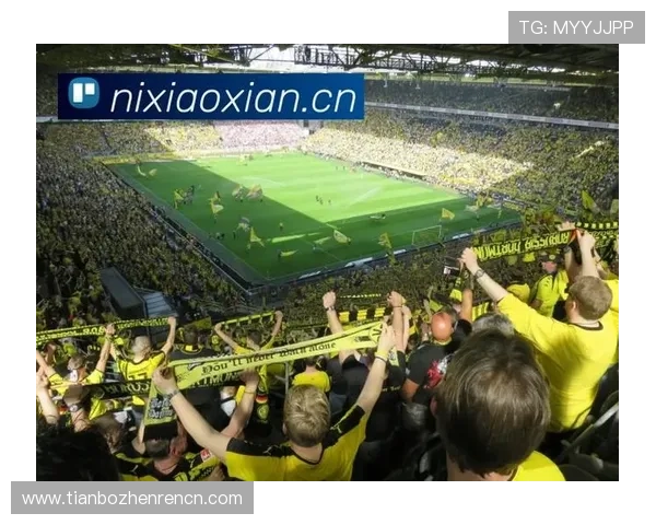 访问333体育官方网站，掌握全球体育赛事最新动态，享受专业的赛事直播和丰富的体育内容资源